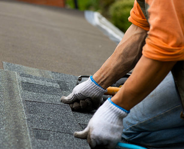 Best Roof Maintenance Services  in Herington, KS